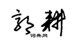 朱锡荣郭耕草书个性签名怎么写