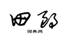 朱锡荣田朗草书个性签名怎么写