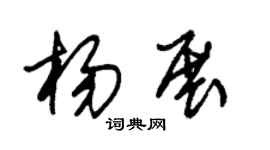 朱锡荣杨展草书个性签名怎么写