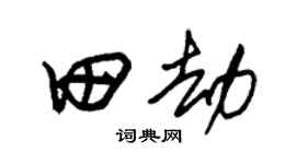 朱锡荣田劫草书个性签名怎么写