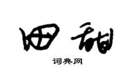 朱锡荣田甜草书个性签名怎么写