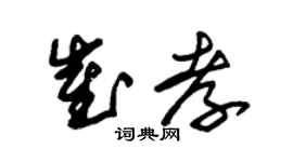 朱锡荣崔孝草书个性签名怎么写