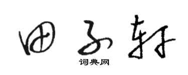 骆恒光田子轩草书个性签名怎么写