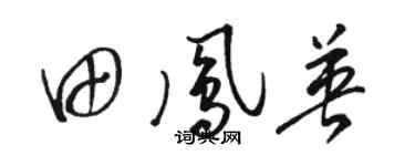 骆恒光田凤英草书个性签名怎么写