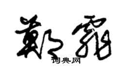 朱锡荣郑霏草书个性签名怎么写