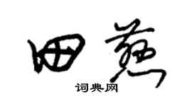 朱锡荣田慈草书个性签名怎么写