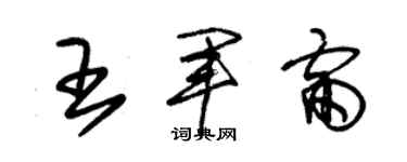 朱锡荣王军雷草书个性签名怎么写