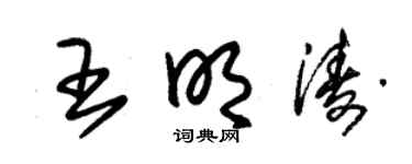 朱锡荣王明涛草书个性签名怎么写