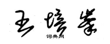 朱锡荣王培峰草书个性签名怎么写