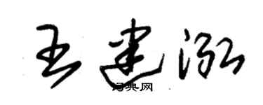 朱锡荣王建泓草书个性签名怎么写