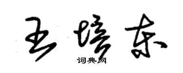 朱锡荣王培东草书个性签名怎么写