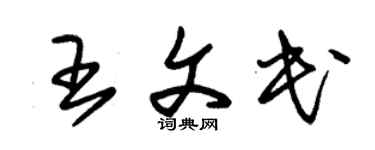 朱锡荣王文民草书个性签名怎么写