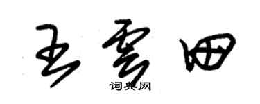 朱锡荣王云田草书个性签名怎么写