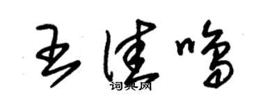 朱锡荣王佳鸣草书个性签名怎么写