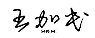 朱锡荣王加民草书个性签名怎么写