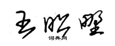 朱锡荣王昭野草书个性签名怎么写