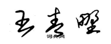 朱锡荣王青野草书个性签名怎么写