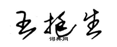 朱锡荣王挺生草书个性签名怎么写