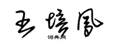 朱锡荣王培凤草书个性签名怎么写