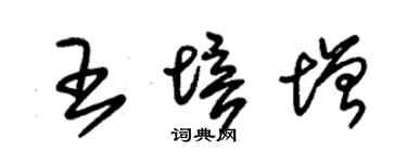 朱锡荣王培增草书个性签名怎么写