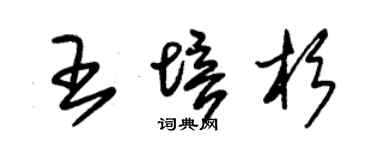 朱锡荣王培杉草书个性签名怎么写