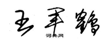 朱锡荣王军鹤草书个性签名怎么写