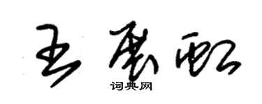 朱锡荣王展虹草书个性签名怎么写