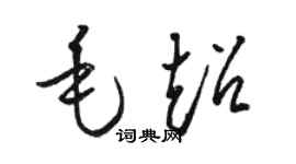 骆恒光毛超草书个性签名怎么写