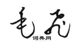 骆恒光毛飞草书个性签名怎么写