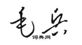 骆恒光毛兵草书个性签名怎么写