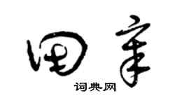 曾庆福田章草书个性签名怎么写