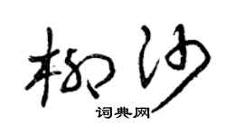 曾庆福柳沙草书个性签名怎么写