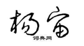 曾庆福杨宙草书个性签名怎么写