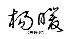 曾庆福杨暖草书个性签名怎么写