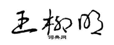 曾庆福王柳明草书个性签名怎么写