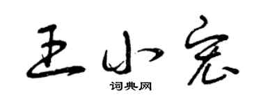 曾庆福王小宏草书个性签名怎么写