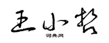 曾庆福王小哲草书个性签名怎么写