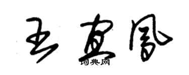 朱锡荣王宜凤草书个性签名怎么写