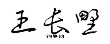 曾庆福王长野草书个性签名怎么写