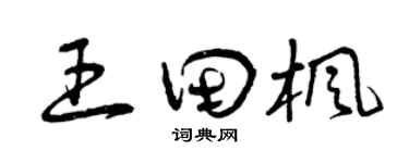 曾庆福王田枫草书个性签名怎么写