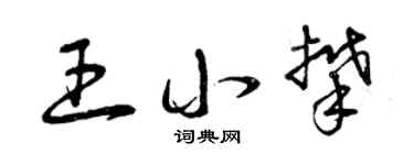 曾庆福王小攀草书个性签名怎么写