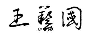 曾庆福王艺国草书个性签名怎么写