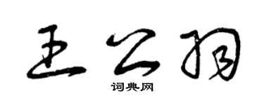 曾庆福王公羽草书个性签名怎么写