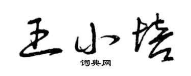 曾庆福王小培草书个性签名怎么写