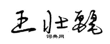 曾庆福王壮丽草书个性签名怎么写