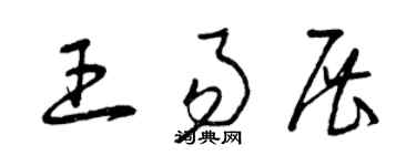 曾庆福王易展草书个性签名怎么写