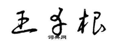 曾庆福王幸根草书个性签名怎么写