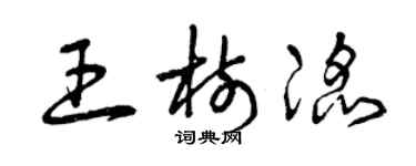 曾庆福王树滔草书个性签名怎么写