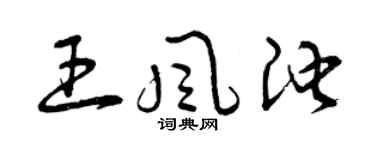 曾庆福王风池草书个性签名怎么写