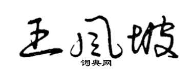 曾庆福王风坡草书个性签名怎么写